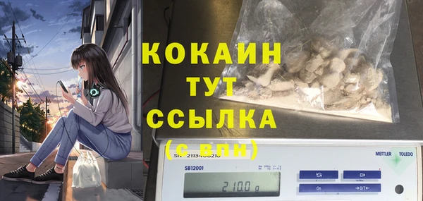 прущая мука Богородицк