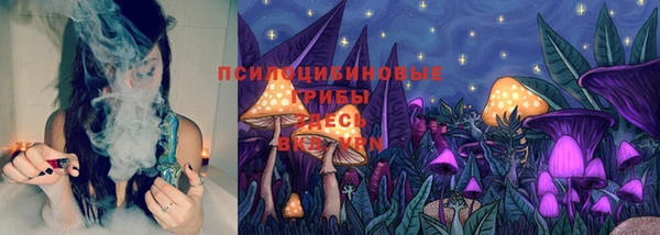 прущая мука Богородицк