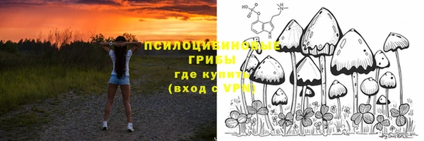 прущая мука Богородицк